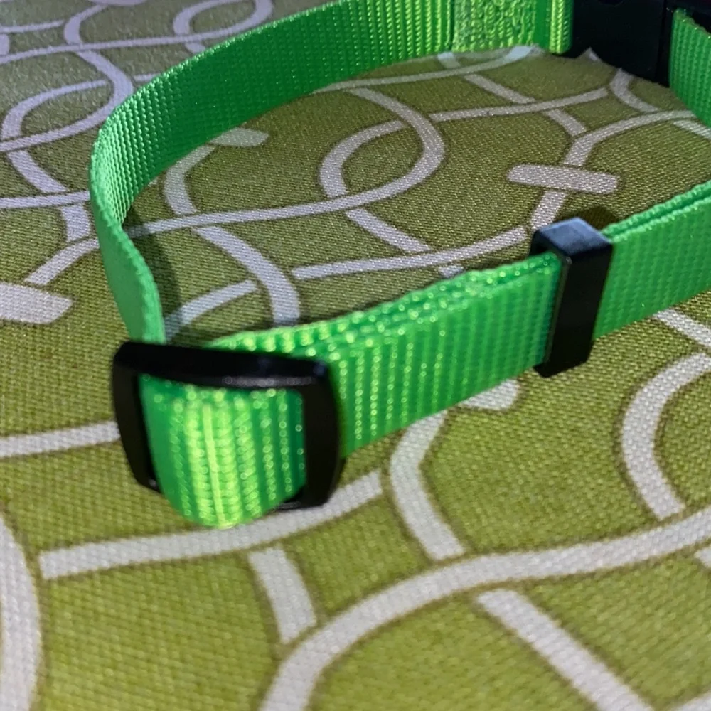 New Meijer medium dog collar